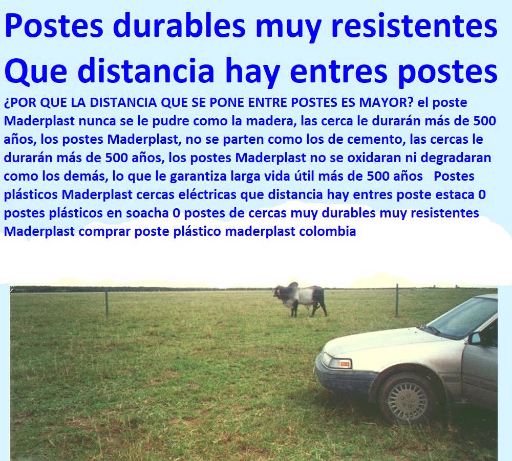 Postes plásticos Maderplast cercas eléctricas que distancia hay entres poste estaca 0 postes plásticos en soacha 0 postes de cercas muy durables muy resistentes Maderplast comprar poste plástico maderplast colombia Postes plásticos Maderplast cercas eléctricas que distancia hay entres poste estaca 0 postes plásticos en soacha 0 postes de cercas muy durables muy resistentes Maderplast comprar poste plástico maderplast colombia